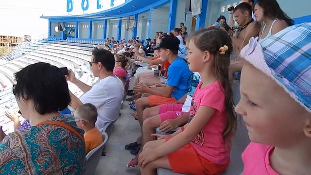 Egypt Hurghada dolphin show 2014 Египет Хургада дельфинарий 2014 смотреть онлайн