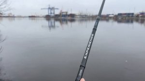 Ловля судака на Канонерском острове.Рыбалка в Ленинградской области.#рыбалка #спиннинг #джиг #судак