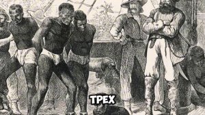 В США в 19 веке можно было купить рабыню за 6 миллионов рублей. История рабство