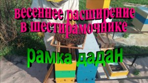 Расширение пчелосемьи в шестирамочнике на рамку дадан