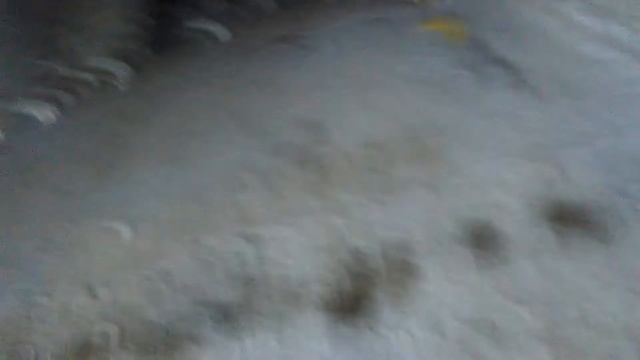 Заброшенные трибуны часть вторая смотреть онлайн