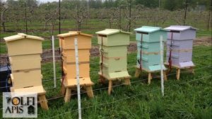 16.03.20 г. Z-рация, канал "Творческое пчеловодство" Малыхин В.Е., Технология содержания пчел