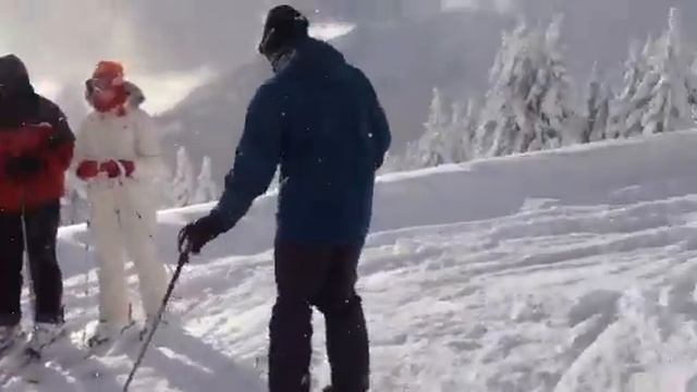 Мы в Альпах смотреть онлайн