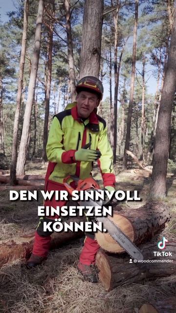 Krallenanschlag einer Motorsäge, wichtiges Bauteil kurz erklärt. Wald Forst Motorsägenkurs смотреть онлайн