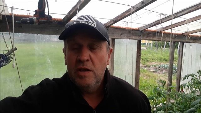 Обязательная подкормка пиона после цветения. Чем и почему. смотреть онлайн