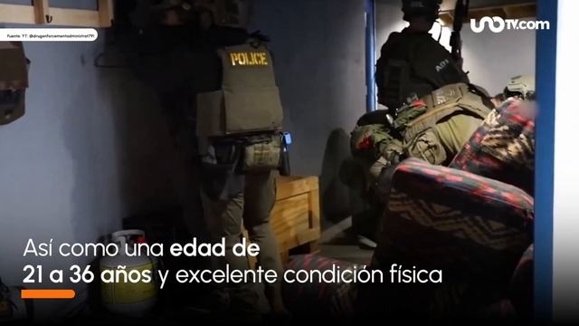 ¿Cómo convertirte en agente especial de la DEA en EU? смотреть онлайн