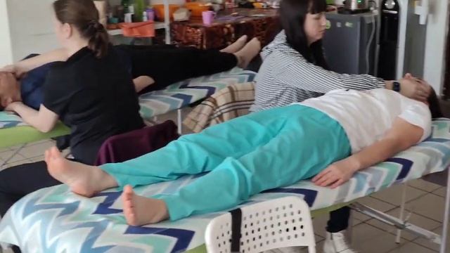 Биодинамика-Юг Краснодар курс 