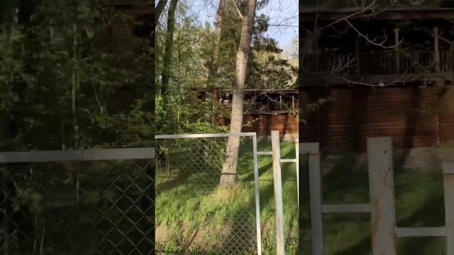 07.05.2023 г. Семейный отдых на Левобережном парке.