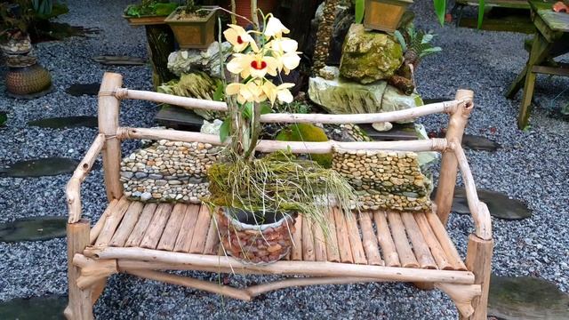 Welcome To My World: Dendrobium Gatton Sunray