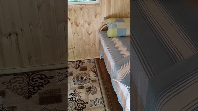 Апидомики оздоровление пчелами