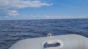 Рыбинское водохранилище. Кемпинг «Три берега»