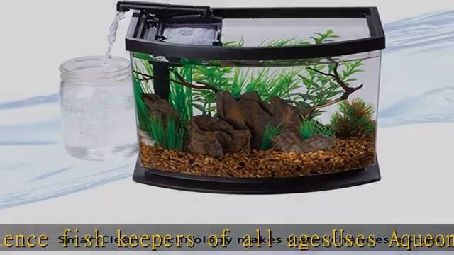 Aqueon LED MiniBow Small Aquarium Fish Tank Kit with SmartClean Technology, Black, 2.5 Gallon смотреть онлайн