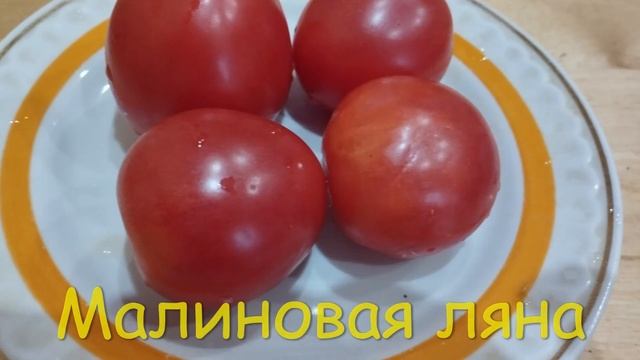Часть 3 КАТАЛОГА ТОМАТОВ на 2023 г. г. КИРОВ. Ватсап тел. 89229284031 смотреть онлайн