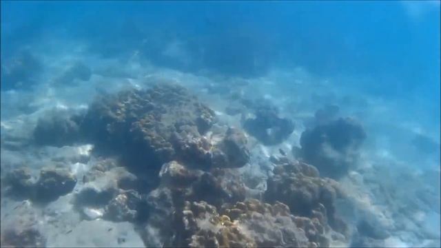 Возле острова Пи Пи ДонPhi Phi Don Таиланд wmv1 смотреть онлайн