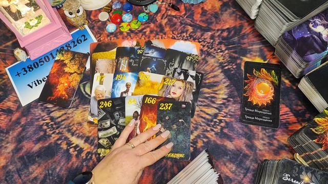 ЖАБА НЕСЁТ ТОЛЬКО ОДНИ ТРАТЫ И ПОТЕРИ ЗА СВОЁ МАГИЧЕСКОЕ ДЕЛО 🪃💯🎯👹👁️👁️🗝️📢🐀💣 смотреть онлайн