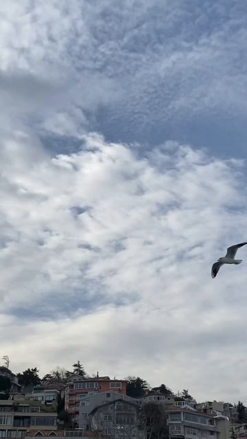 Стамбул зимой / Istanbul 2023 смотреть онлайн