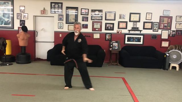 Soft Style Kata “The Journey” American Tai Karate GM Andy Watford