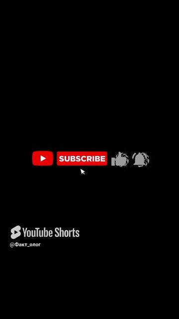 Мне бы столько кроватей!