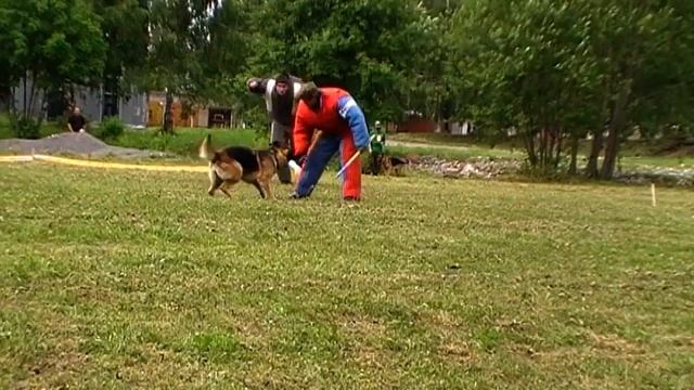 Зена 4 упр смотреть онлайн
