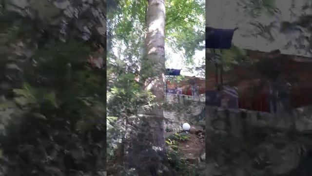 Яремче 2018 Водограй смотреть онлайн