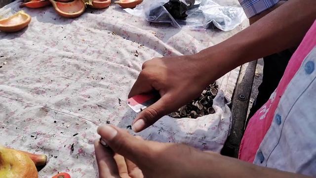 Green Pista | Fruit | Gujarat | Somnath смотреть онлайн