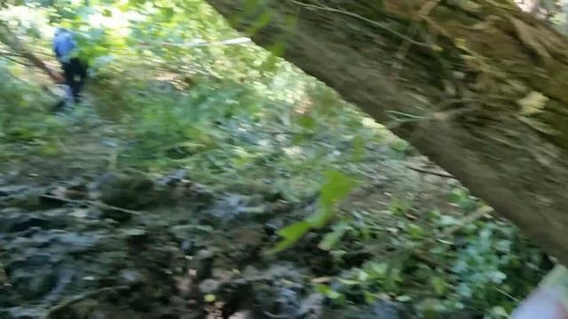 ОРГИ КОЗЛЫ но #OFFROAD и спецучастки хорошие Ukraine Forest Challenge 2024 3-этап Винница смотреть онлайн