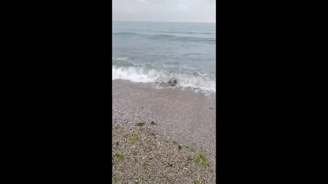 Феодосия (крымские фрагменты) смотреть онлайн