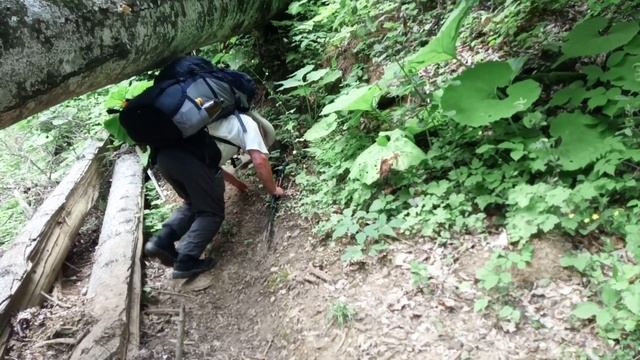 Поход на Большой и Малый Тхачи. Республика Адыгея, июль 2023. Часть 6. Выход с маршрута. смотреть онлайн