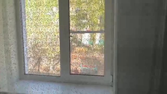 Советская смотреть онлайн