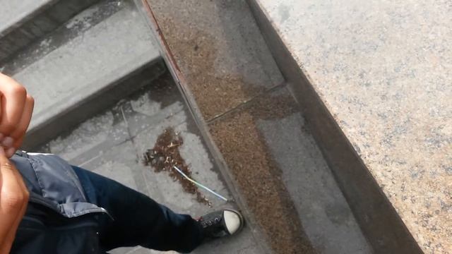Играли орел и решку и вот результат смотреть онлайн