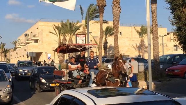 В Акко до сих пор на лошадях ездят по дорогам смотреть онлайн