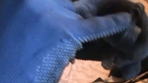 Ось коромысел