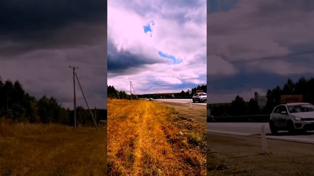 #ЛесныеЯблоки🍎🍏и #вишнялесная #дикаявишня🍒💖💥#вишняперезрела