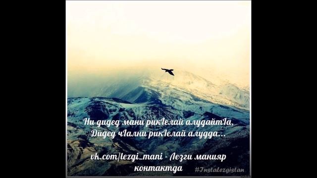 песня Фируза Жибинда авай лацу яйлух