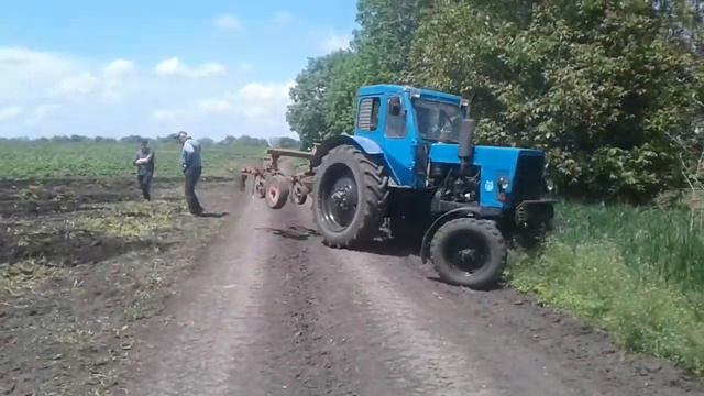 Мтз 50 культивация смотреть онлайн