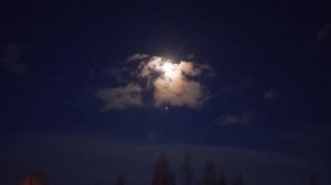 НП - Гравитационная волна