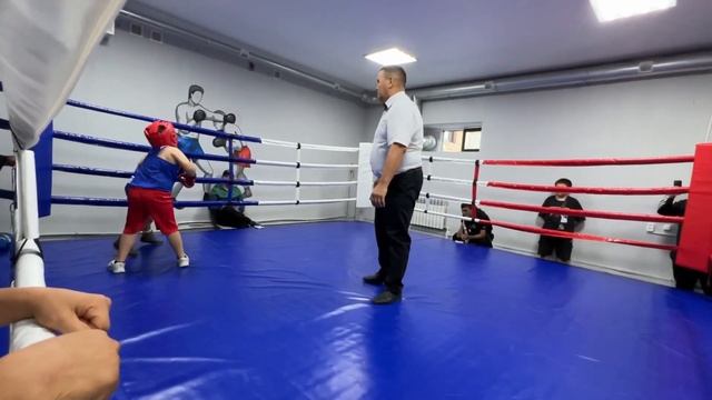 Бокс 🥊 1 место Сабыр Динар Школа GALIB JAFAROV смотреть онлайн