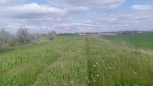 VID_20250426_153939.mp4