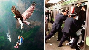 Неожиданные профессии со всего мира (#27)