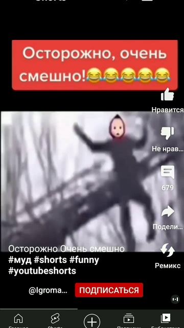 суд на Машу и медведь смотреть онлайн