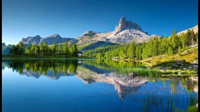 Хочи мирзо 2020