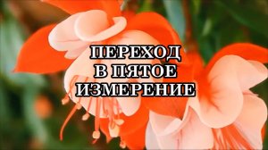 ПЕРЕХОД В ПЯТОЕ ИЗМЕРЕНИЕ. Послание Отца-Абсолюта.