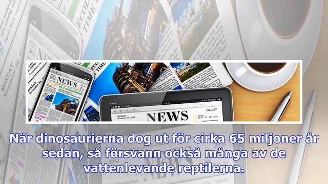 Fossilfyndet avslöjar jättepingvinen смотреть онлайн