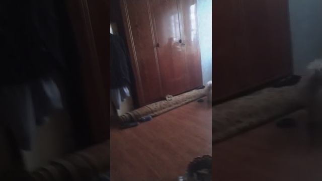 доброе утро всем
