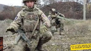 Выживание на войне - Сапёрная кошка