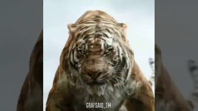 Мнстр глубины 🍿2 Гозила против Конга 🍿3.Мауги 🍿4. аступник 🍿5. Дэдпул 2(5)