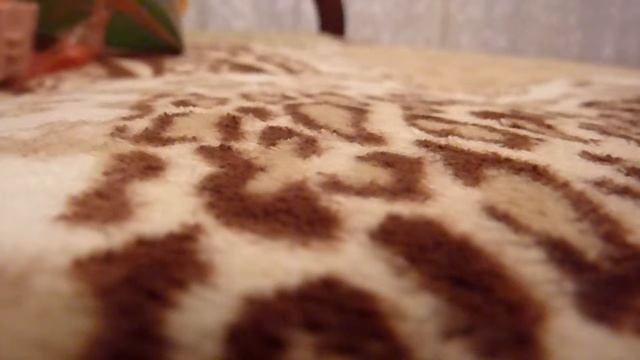 015 Сагынам основной смотреть онлайн