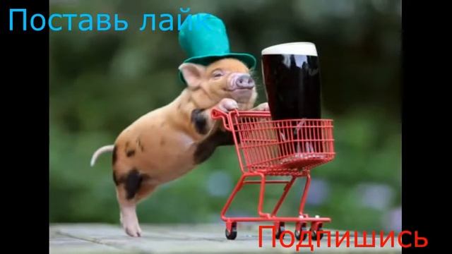 Тест на шизу-уровень пень