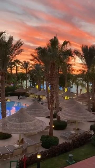 Отель Sierra Resort, 5 - Египет, Шарм-эль-Шейх #shorts, #short, #shortvideo, #shortsyoutube смотреть онлайн