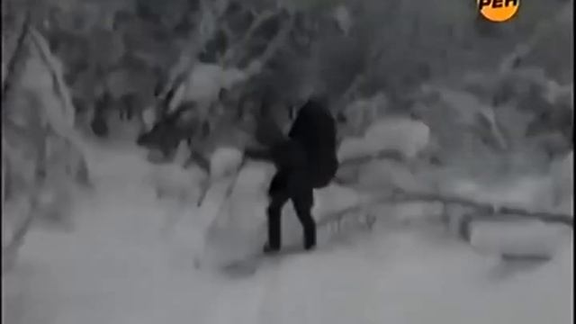 перевал дятлова смотреть онлайн